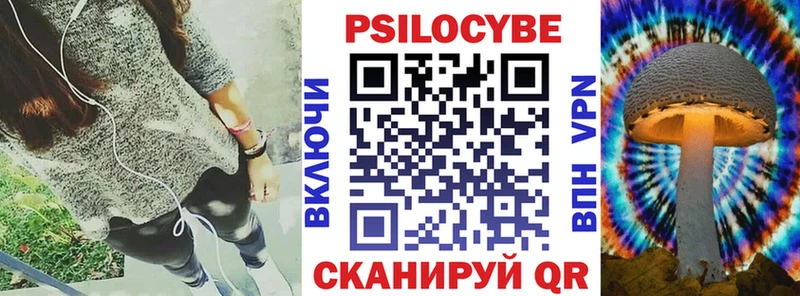 купить наркоту  Кострома  Галлюциногенные грибы Psilocybe 