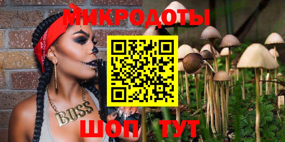 Псилоцибиновые грибы MAGIC MUSHROOMS  Вход с VPN  Кострома 