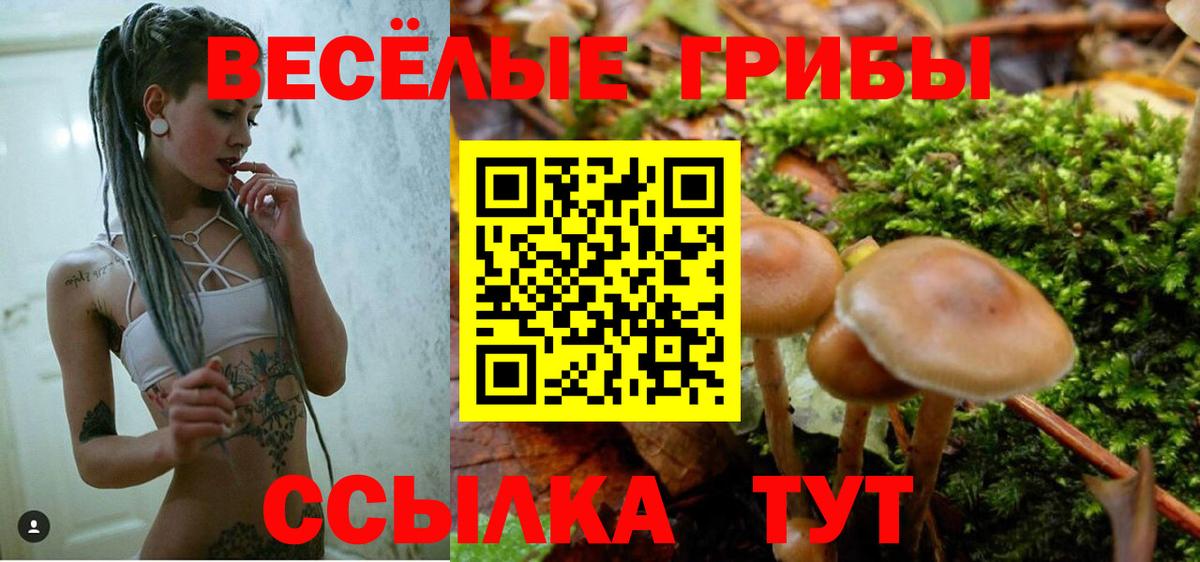 Галлюциногенные грибы Magic Shrooms Кострома